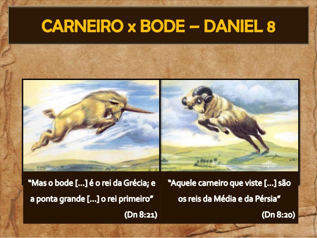 dan8.