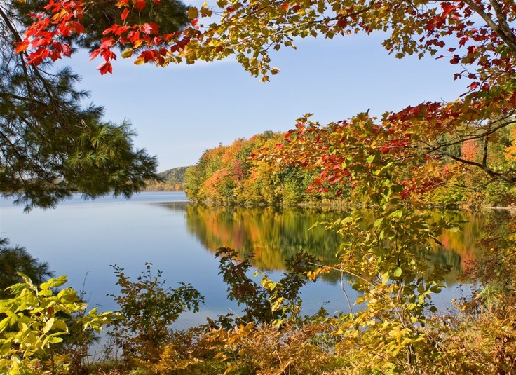 dcd2b8d40eb9a082ed8c8b2553dee35a--north-country-trail-in-the-fall.