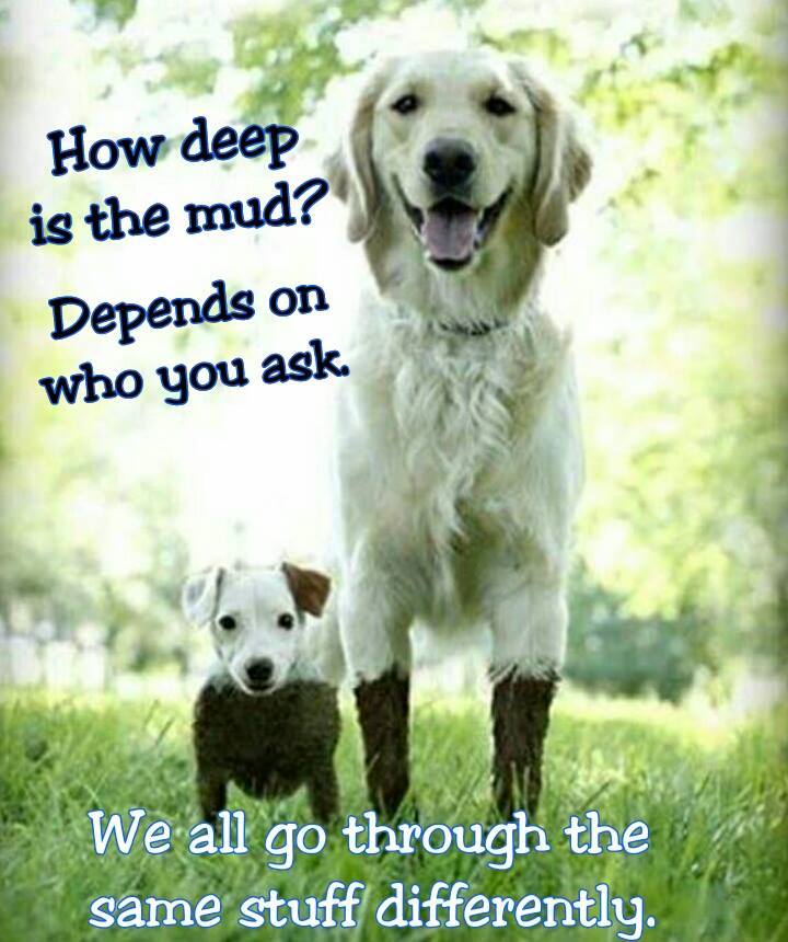deepmud.