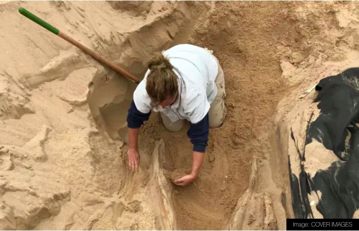 Digging-California-Desert.