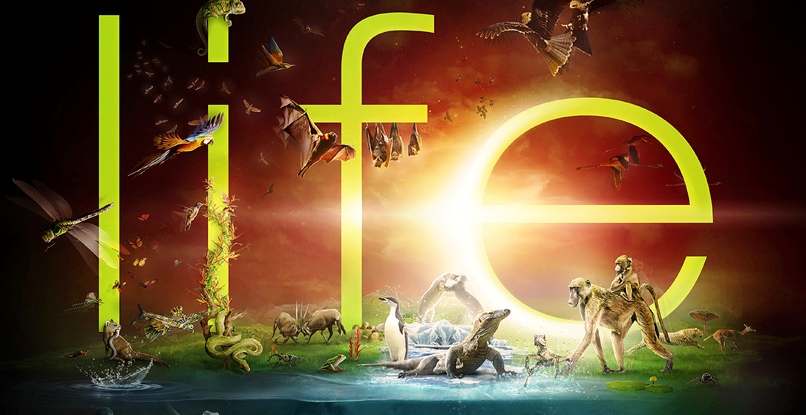 discovery_channel___life_by_he1z1-.1778.