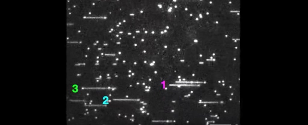 dna-replication-film_1024.