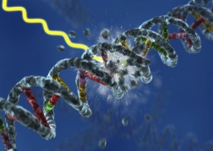 dna_damage_full-300x213.