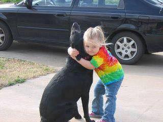 dogstory.