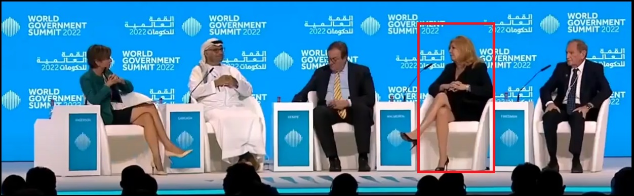 Dr-Pippa-Malmgren-World-Government-Summit-2022.