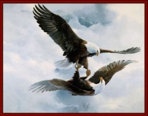 eaglesmirror.
