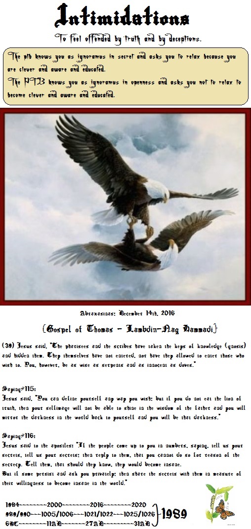 eaglesmirror.