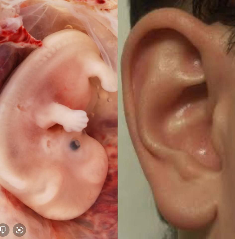 earre3-.