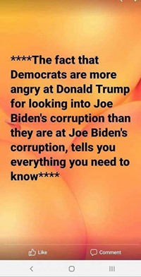 election2020.