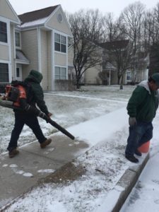 electricleafblower.