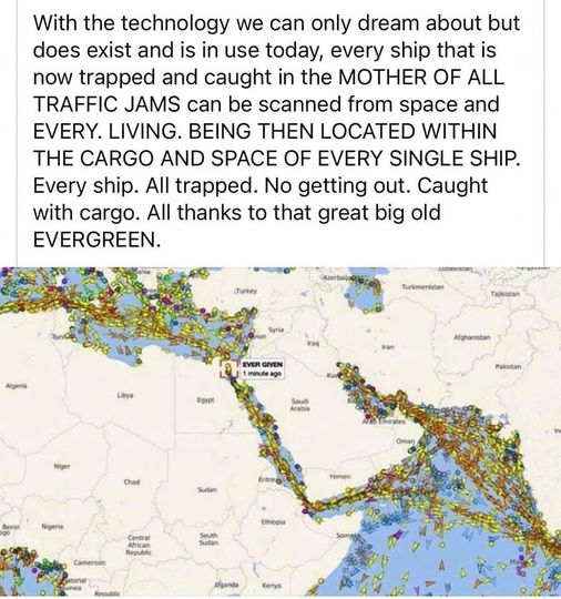 EVERGREEN.JPG