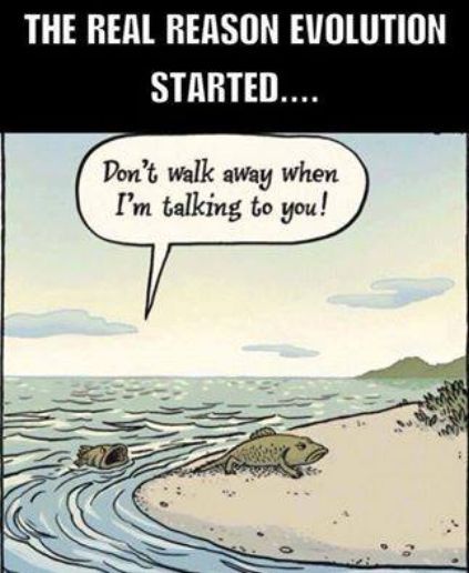 evolution.