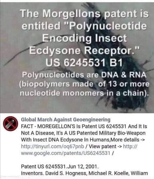 f23b2816b3b0fca4.