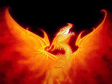firedragon.