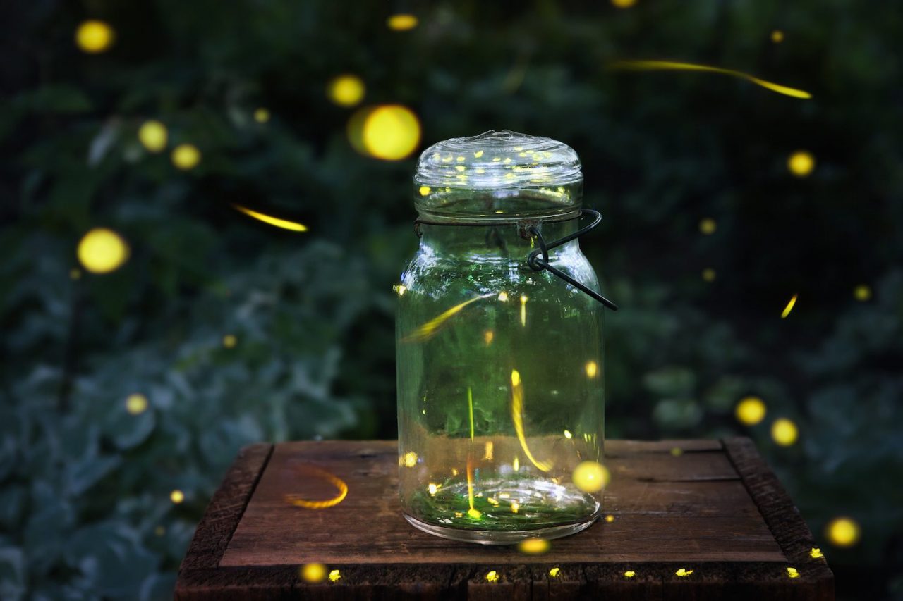 fireflies.