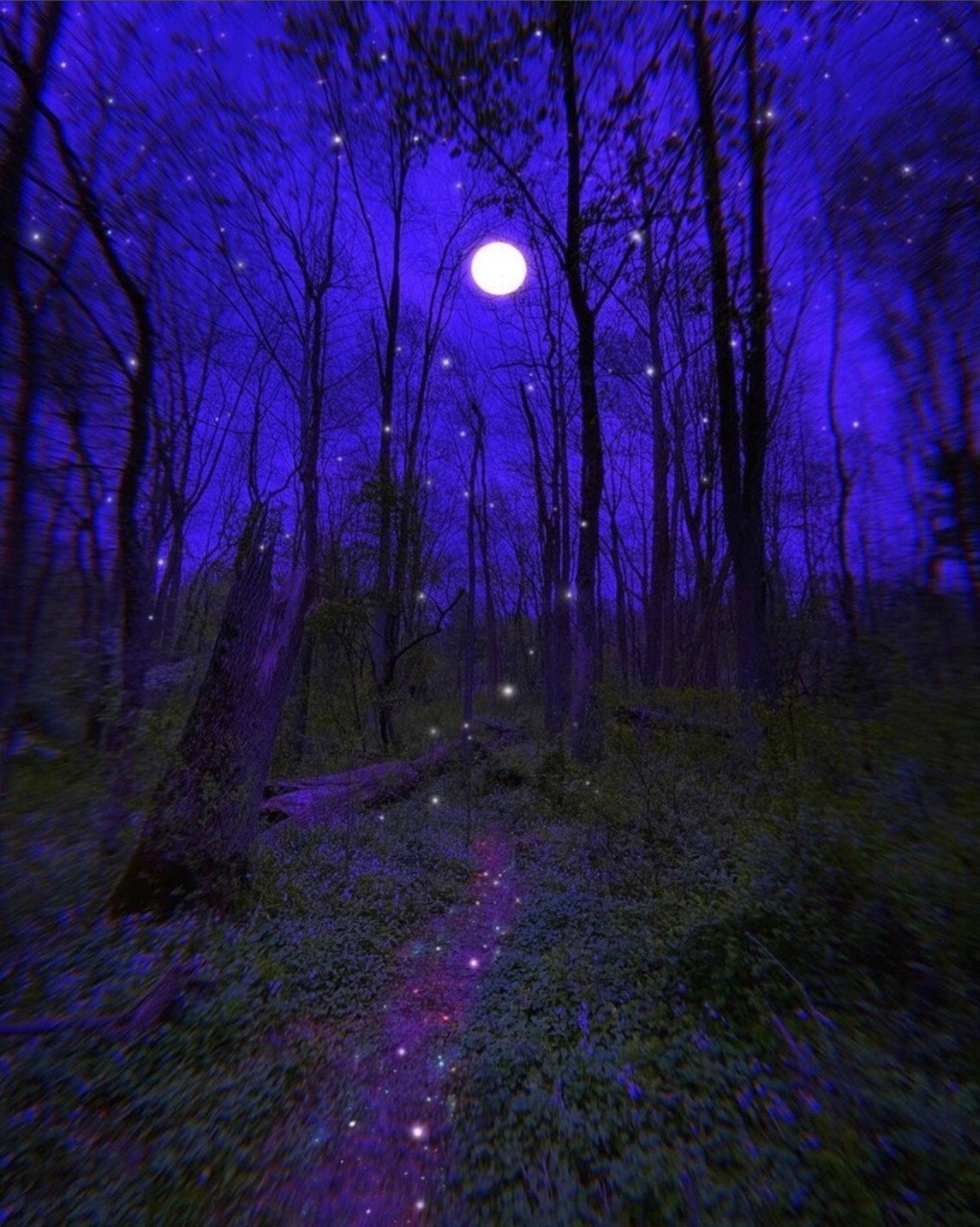 fireflies2.jgp.