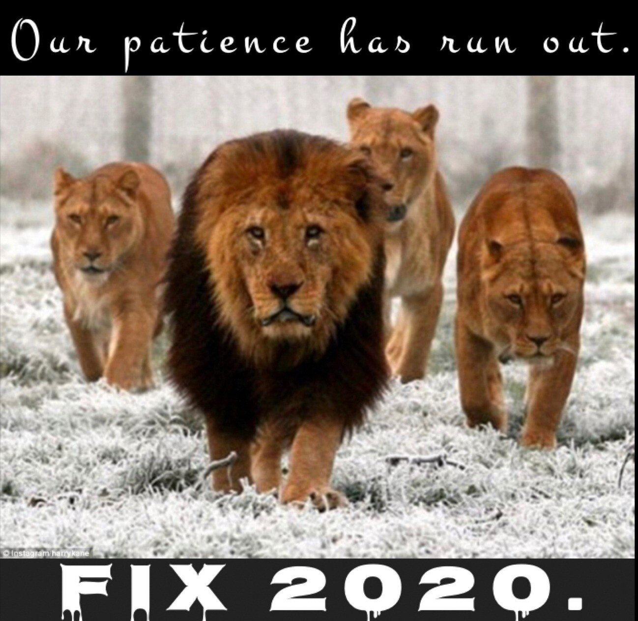 fix2020a.