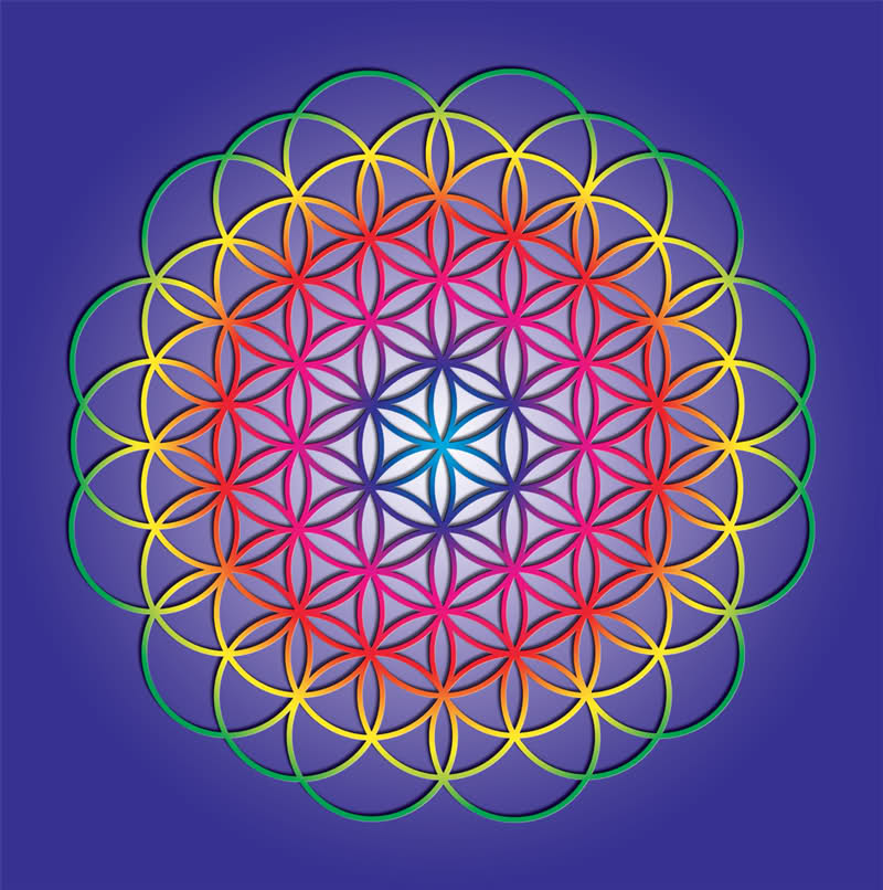 flower10.