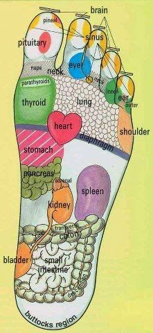 footmeridian.