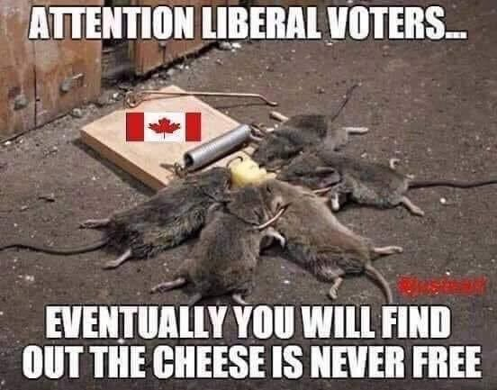 freecheeese2.