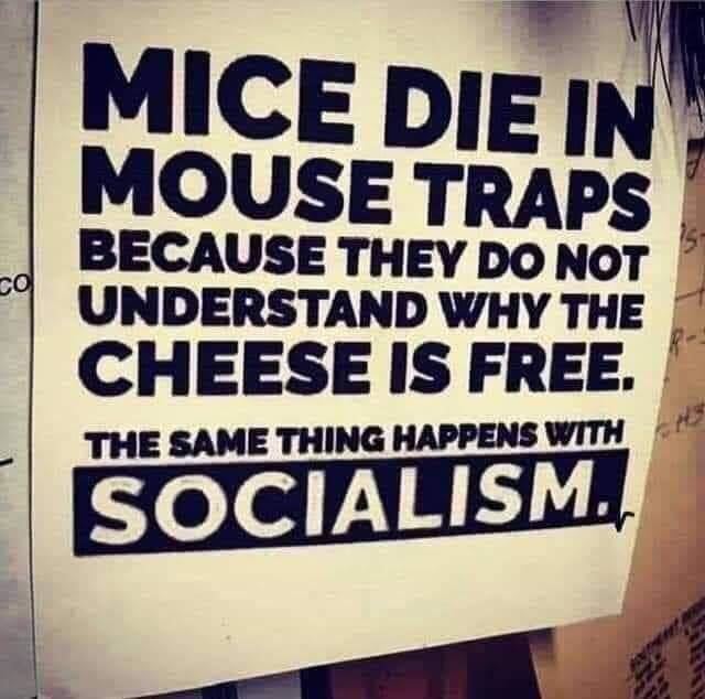 FREECHEESE.JPG