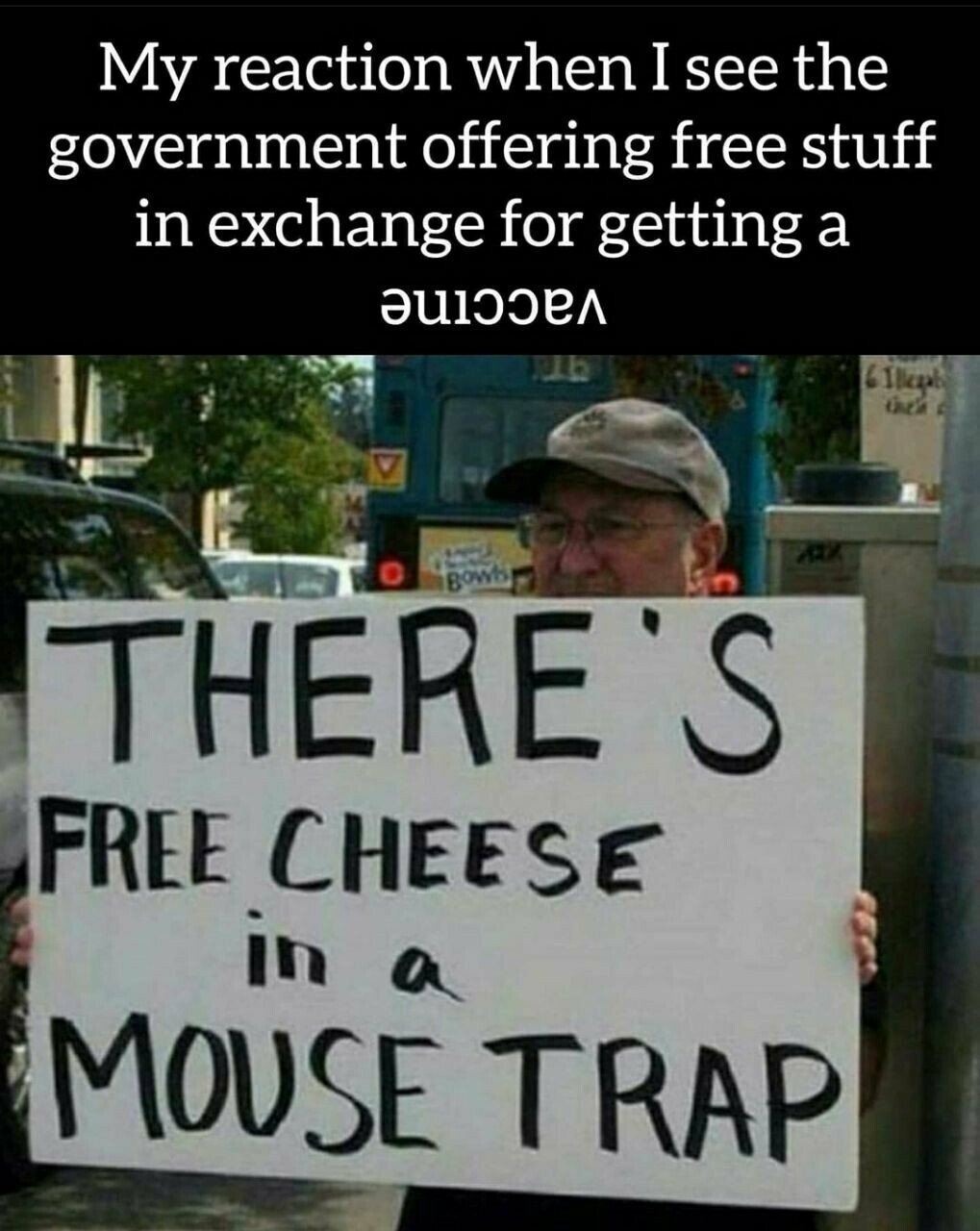 FREECHEESE5.JPG