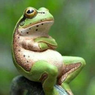frog10.
