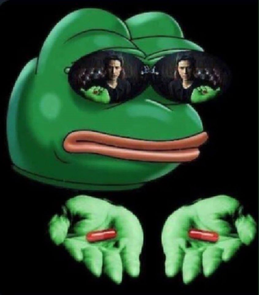 frogs.