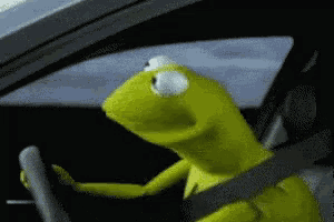frogturninghead.