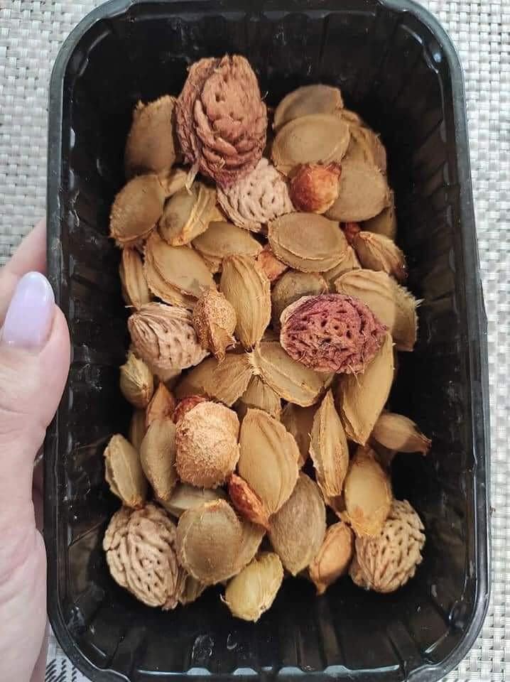 fruitspits.