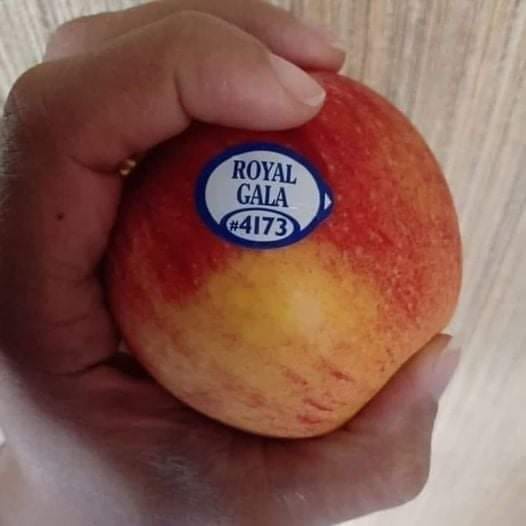 fruitstickers.