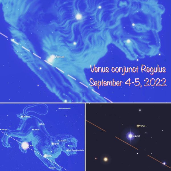 g_p600x600&_nc_cat=100&ccb=1-7&_nc_sid=730e14&_nc_ohc=qdDhzmROG6kAX_SR1rK&_nc_ht=scontent-yyz1-1.