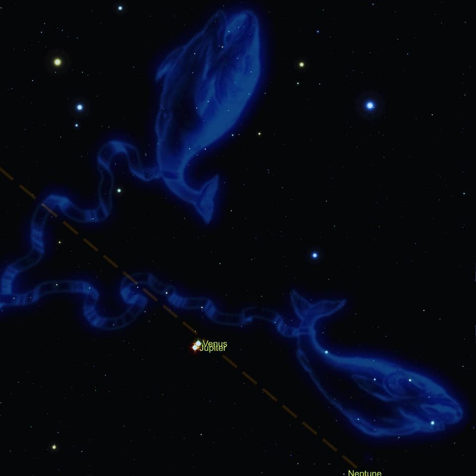 g_p960x960&_nc_cat=102&ccb=1-7&_nc_sid=730e14&_nc_ohc=lkpGW-RKUX4AX-qqZ-l&_nc_ht=scontent-yyz1-1.