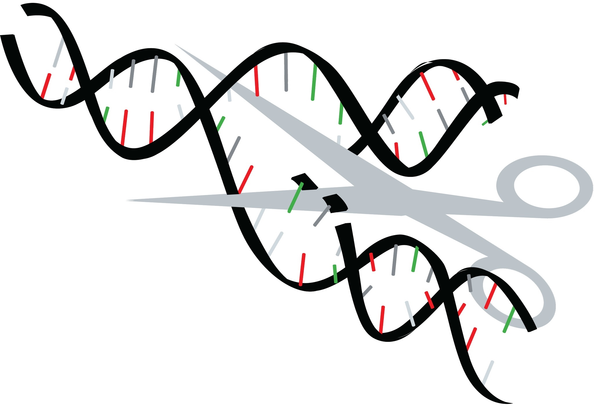 gene-splicing.