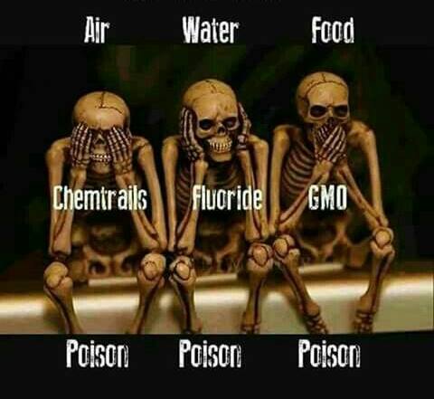 geoen.