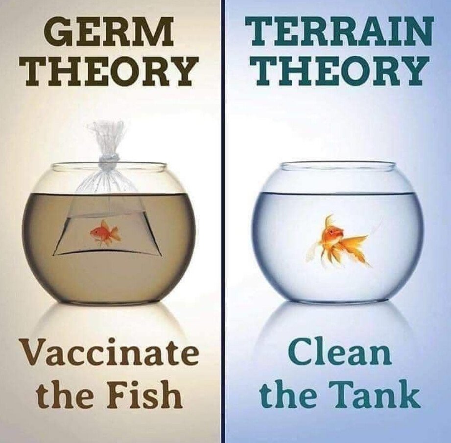 germthe.