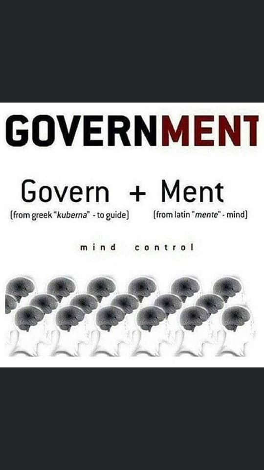 government.
