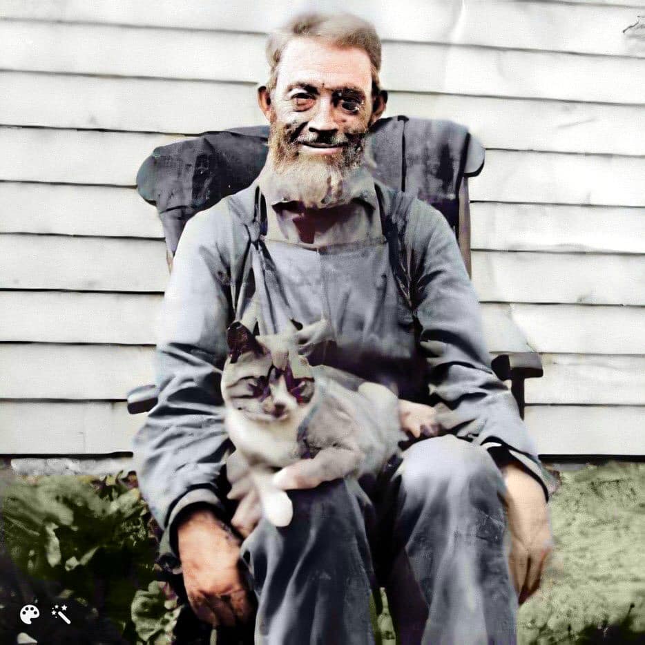 grandpancat3.