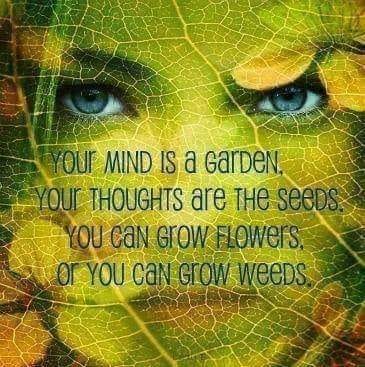 growflowersgrowweeds.