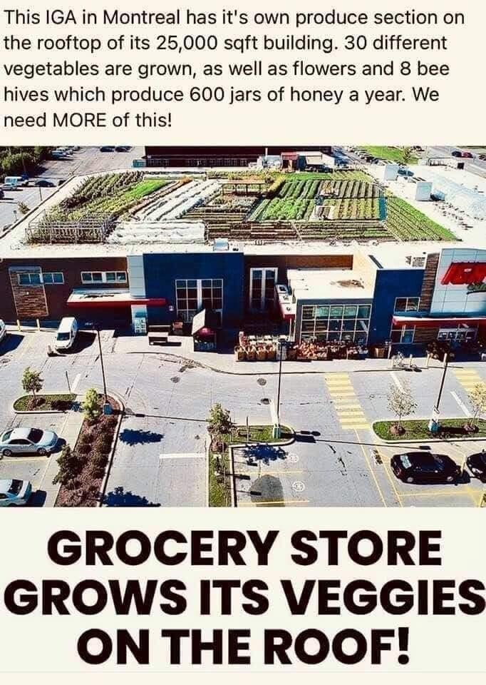 growveggiesonroof.