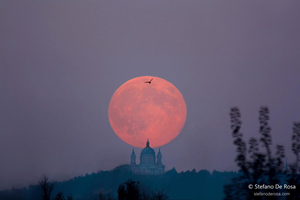 harvest-moon-senza-logo-btn.