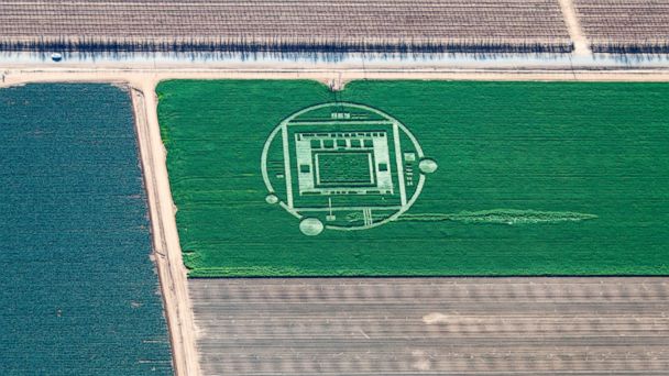 HT_crop_circle_01_jef_131231_16x9_608.