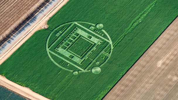 HT_crop_circle_02_jef_131231_16x9_608.