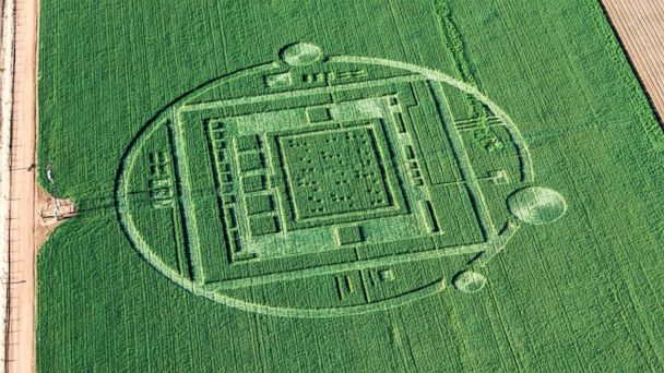 HT_crop_circle_03_jef_131231_16x9_608.