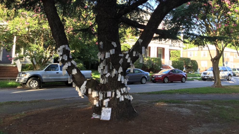 HT_wishing_tree_3_jt_160812_16x9_992.