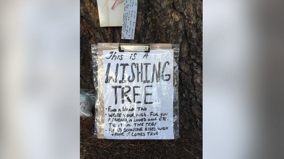HT_wishing_tree_4_jt_160812_v4x3_16x9_992.