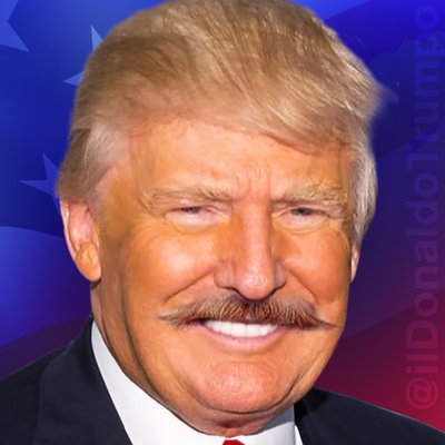 ILDONALDOPROFILE.