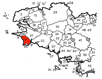 Image5.