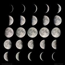 images?q=tbn:ANd9GcSGMfkJhOhrjIaz53ckM5ypwhMuLqpjezxYukAsPEMO1EitOeAU.