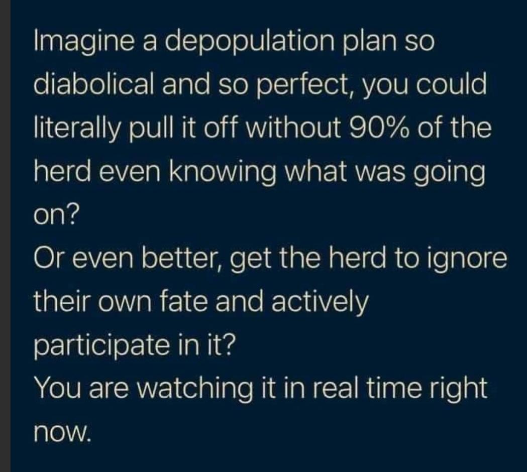 imagineamovie.